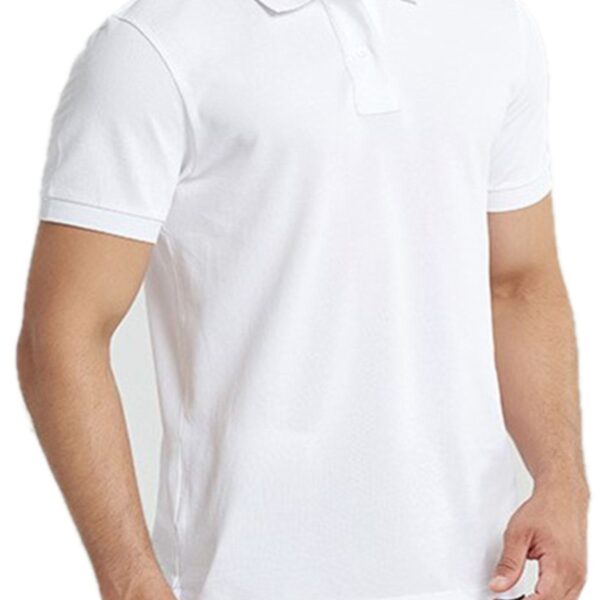 Polo Yaka Basic Örme Lakost T-shirt